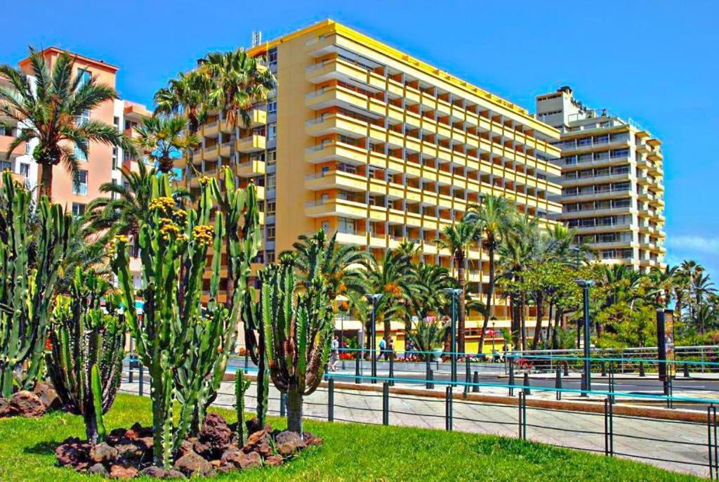 Estudio Para Dos En Martianez Puerto de la Cruz Kültér fotó